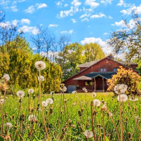 Amigosranch Villa Kruševac Eksteriør billede