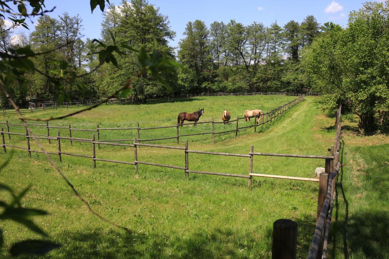 Amigosranch Villa Kruševac Eksteriør billede