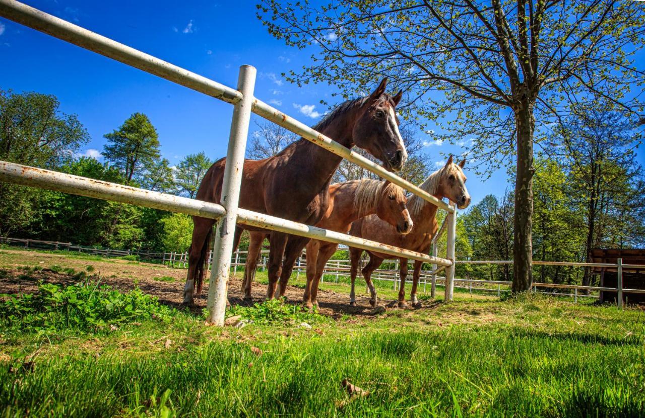 Amigosranch Villa Kruševac Eksteriør billede