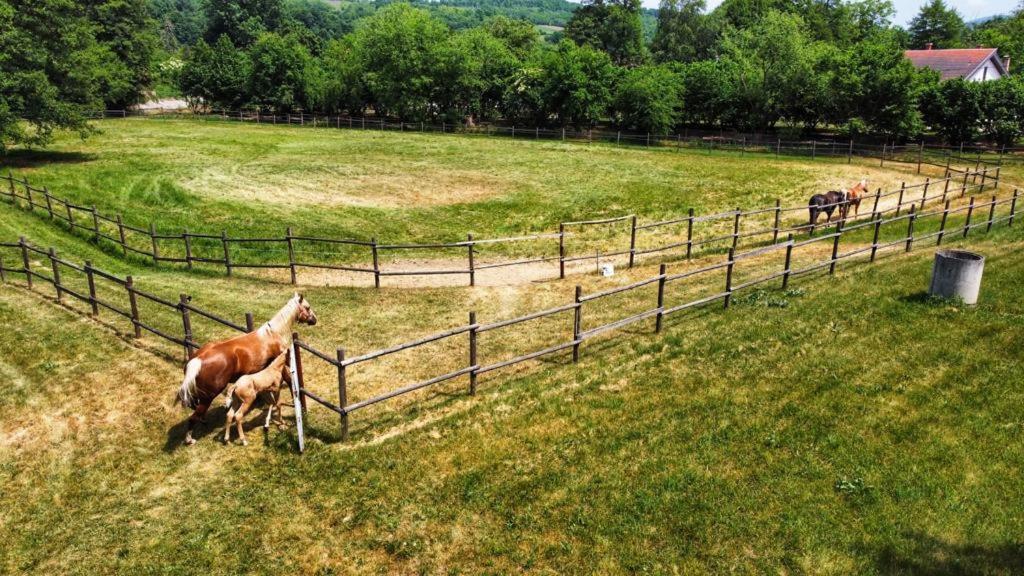 Amigosranch Villa Kruševac Eksteriør billede