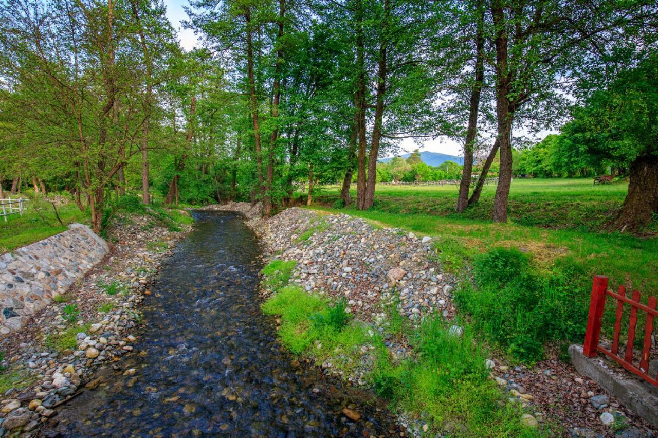 Amigosranch Villa Kruševac Eksteriør billede