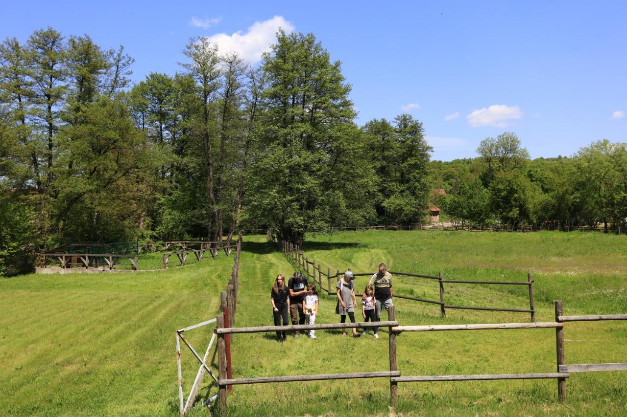 Amigosranch Villa Kruševac Eksteriør billede