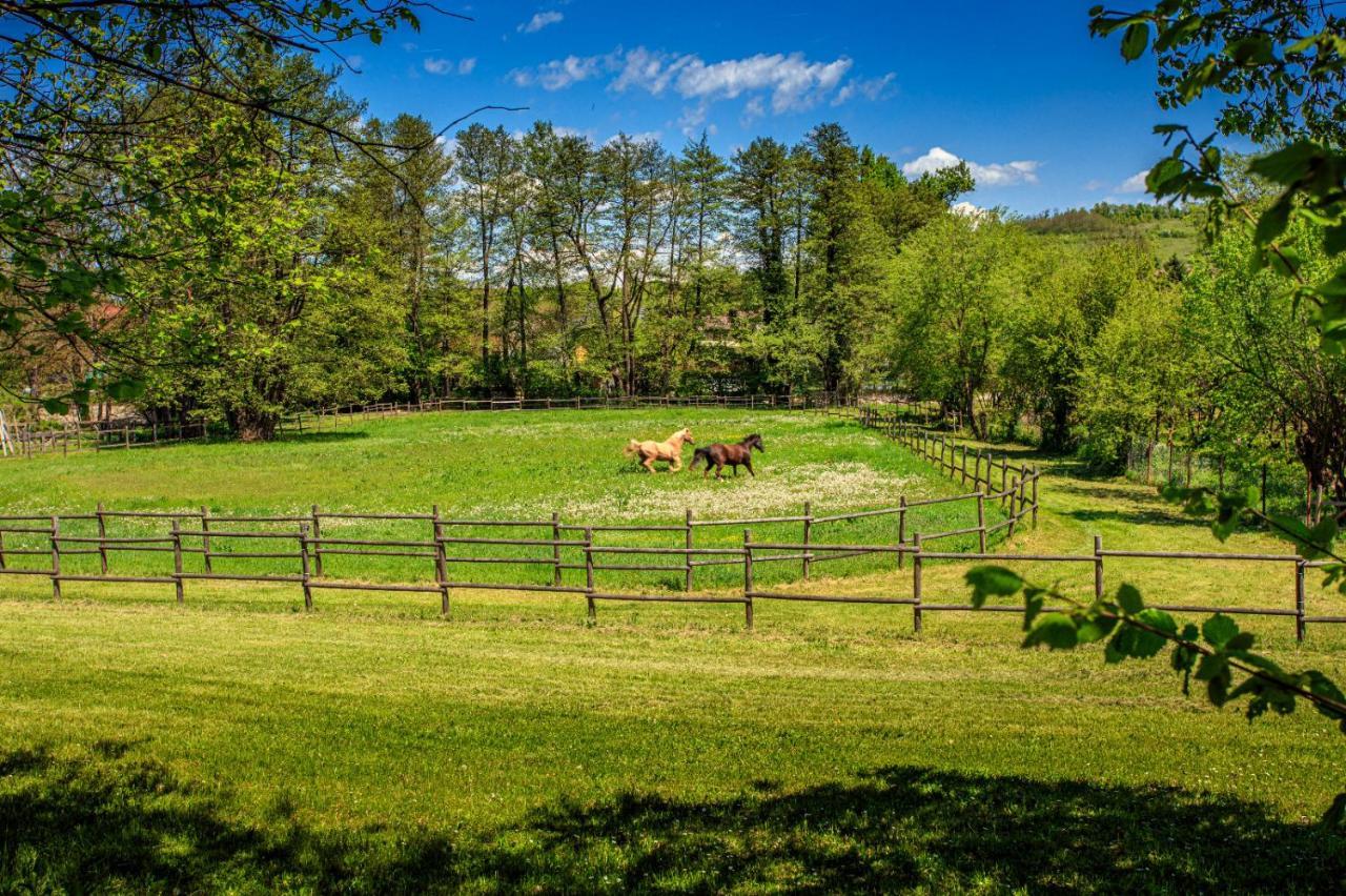 Amigosranch Villa Kruševac Eksteriør billede