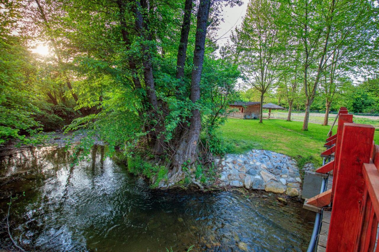 Amigosranch Villa Kruševac Eksteriør billede